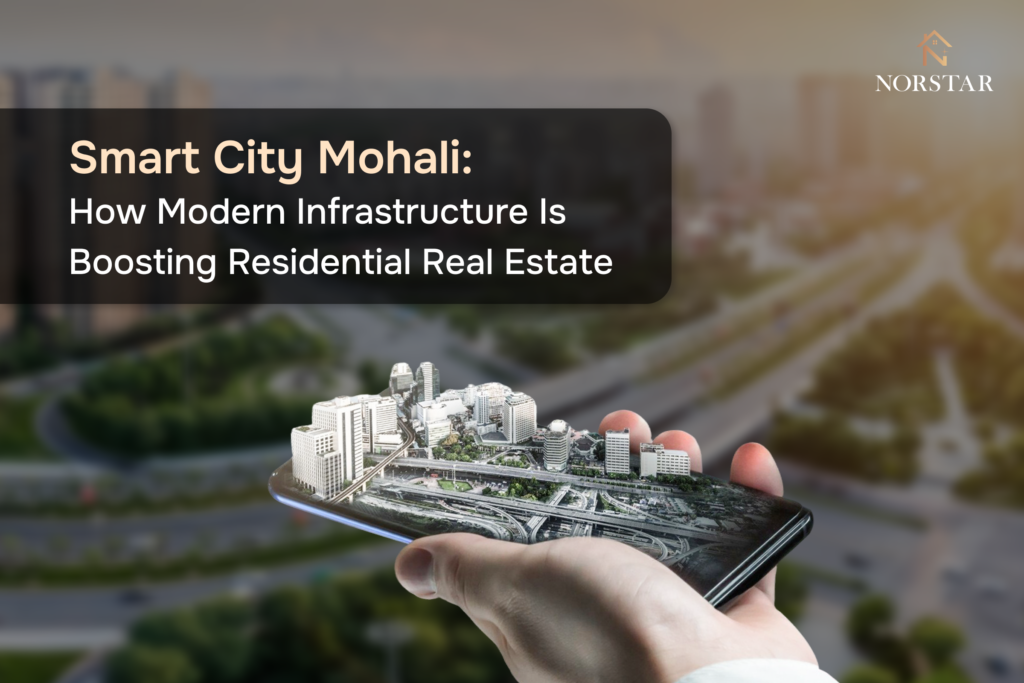 Modern Infrastructure & Real Estate Growth