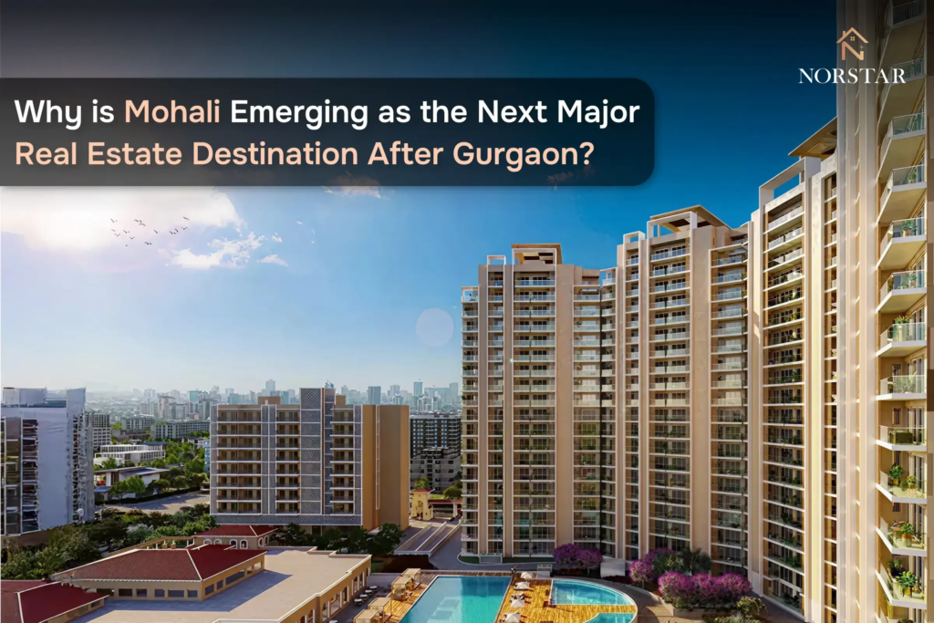 Why is Mohali Emerging as the Next Major Real Estate Destination After Gurgaon?