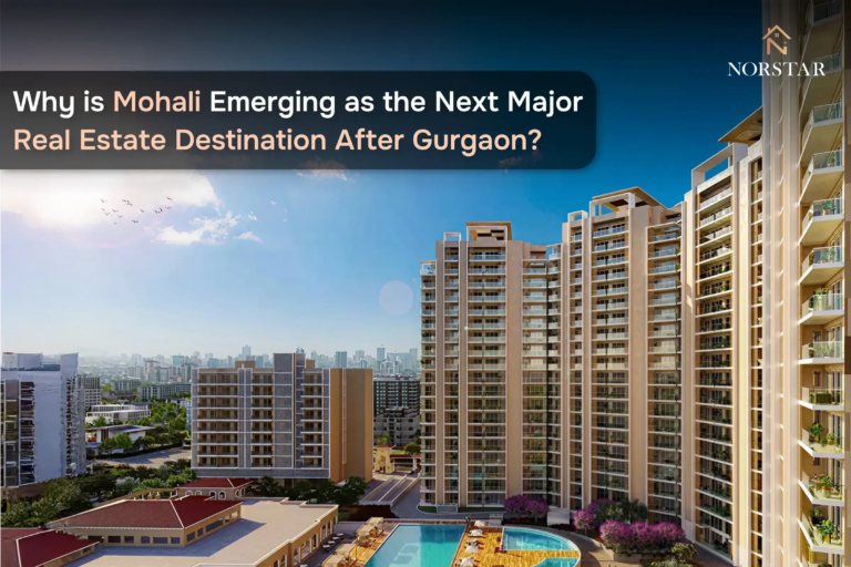 Why is Mohali Emerging as the Next Major Real Estate Destination After Gurgaon?